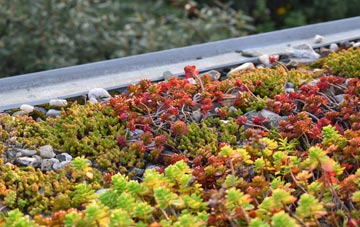 the cost of Rodington Heath green roof installation