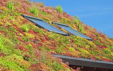 Rodington Heath living roof systems